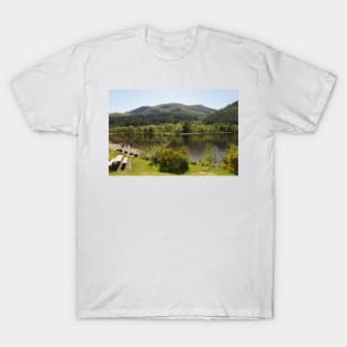 Loch Lubnaig , near Callander , Stirlingshire , Scotland T-Shirt